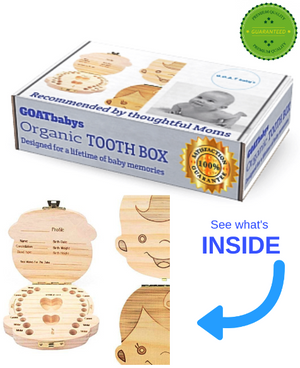 Tooth Box Organizer & lifetime memory keeper